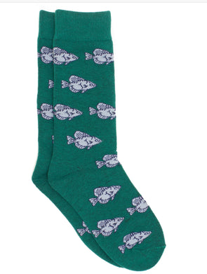 Boys Lucky Duck Socks