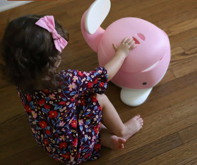 Potty Training Chair